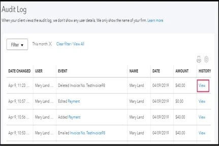 Audit-Log 1